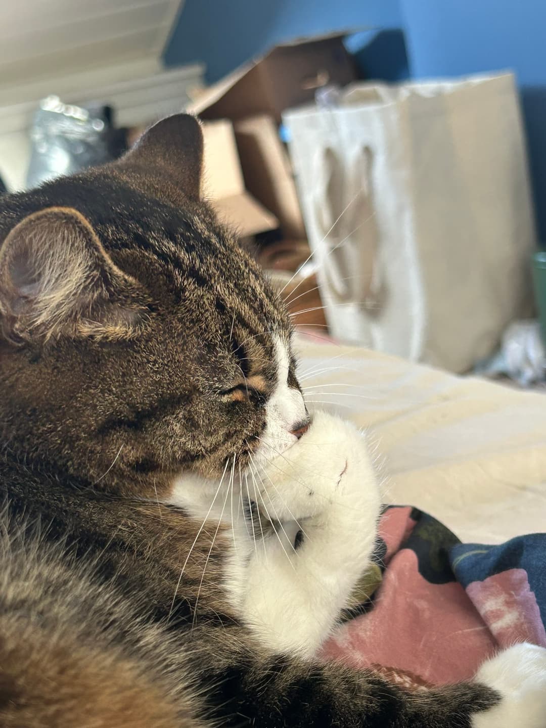 The Thinker - Nori in a thoughtful pose
