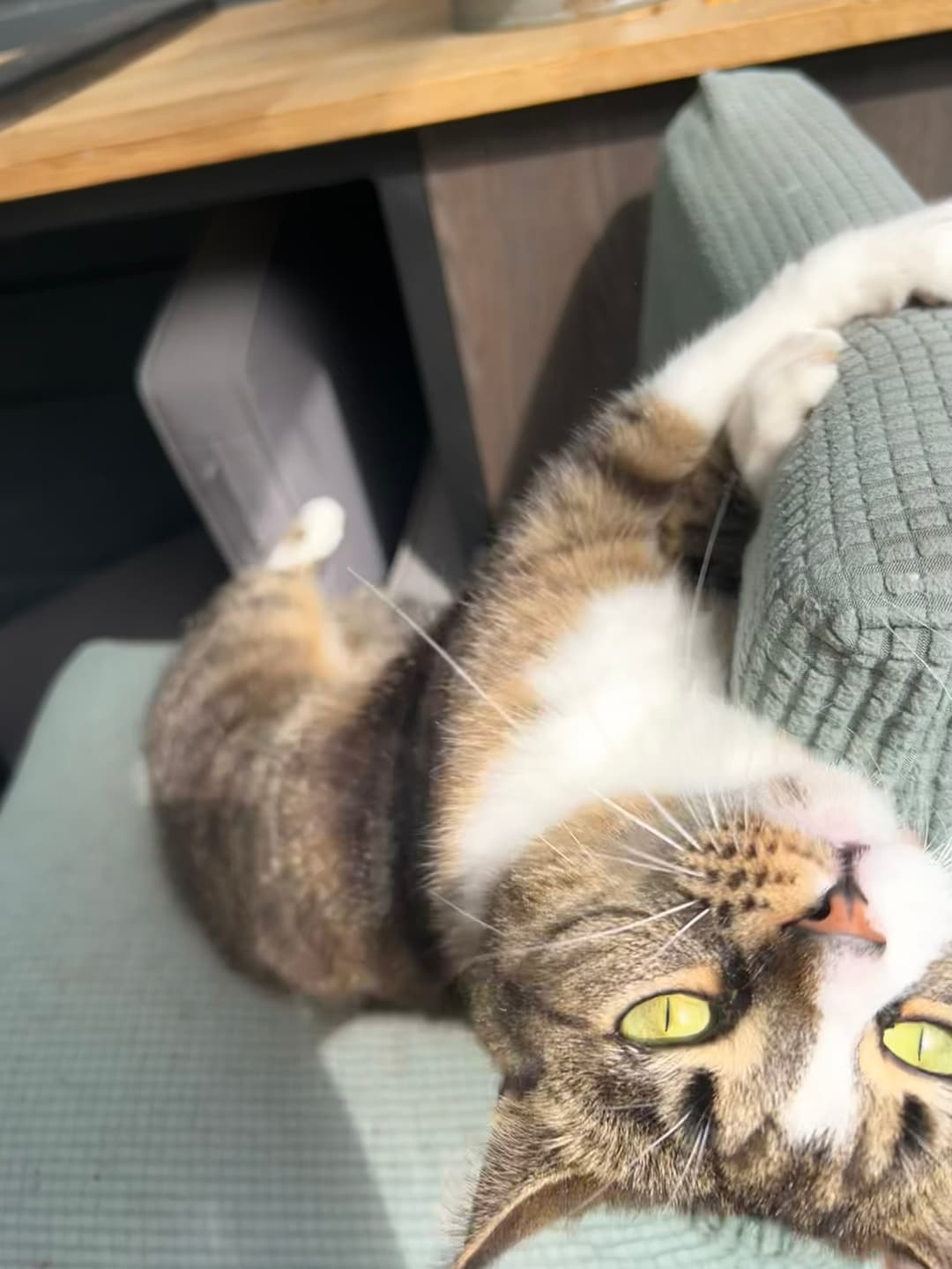 Nori hanging onto a chair like Jack holding the door in Titanic